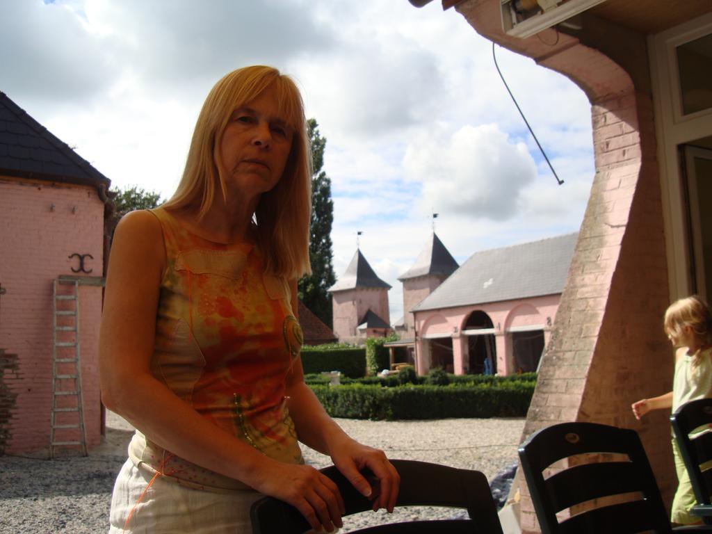 B&B Chateau Bagatelle Frasnes-lez-Anvaing Экстерьер фото