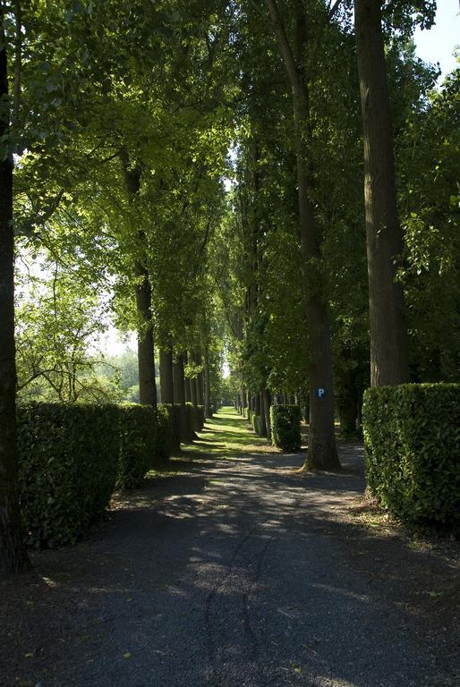 B&B Chateau Bagatelle Frasnes-lez-Anvaing Экстерьер фото