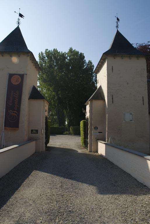 B&B Chateau Bagatelle Frasnes-lez-Anvaing Экстерьер фото