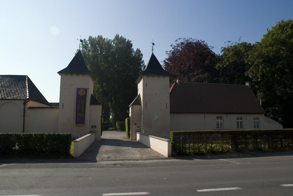 B&B Chateau Bagatelle Frasnes-lez-Anvaing Экстерьер фото